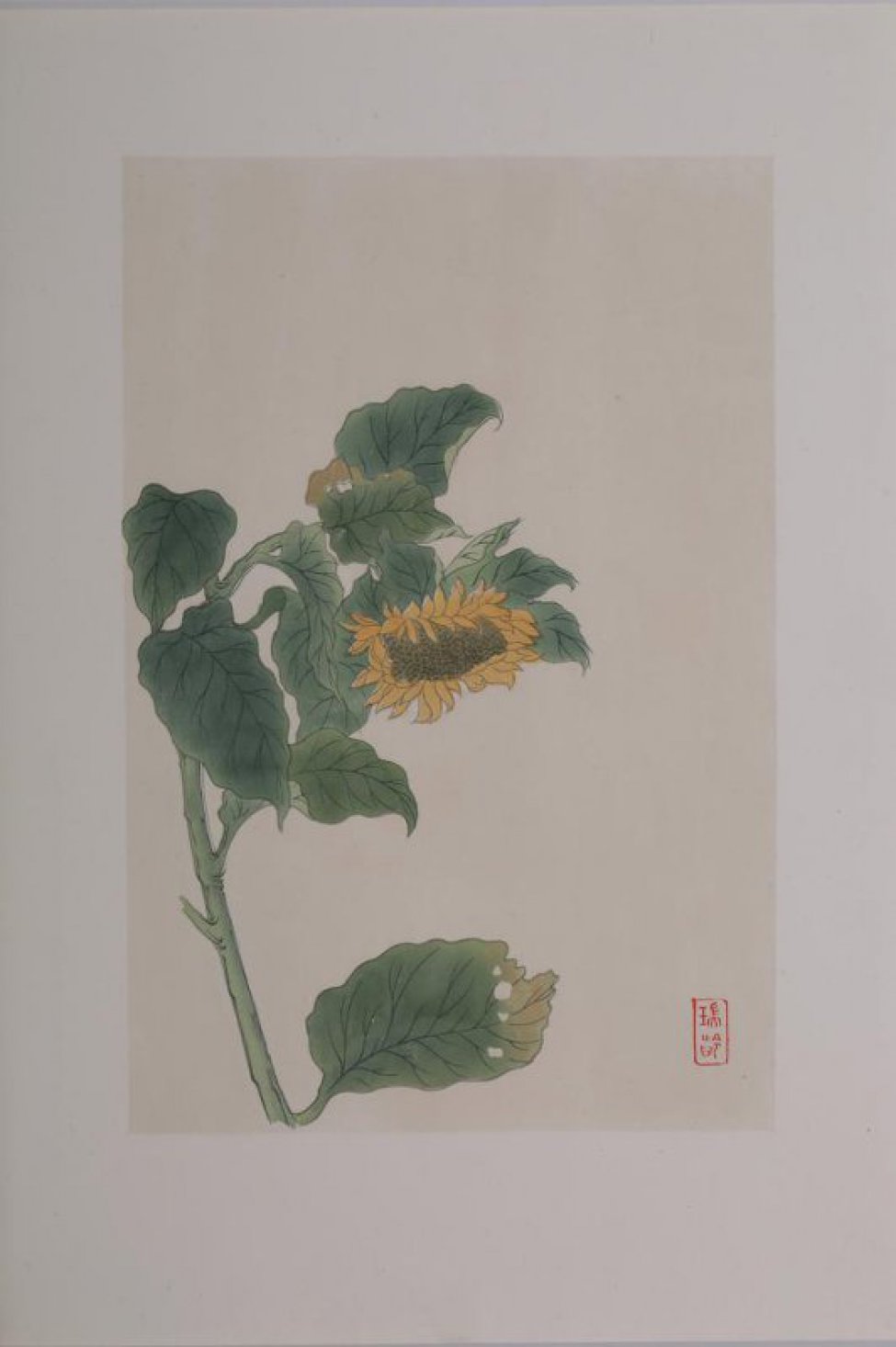 Слева изображен растущий подсолнечник с большой отяжелевшей от семечек опущенной головкой, с желтыми лепестками. Справа внизу 2 иероглифа.