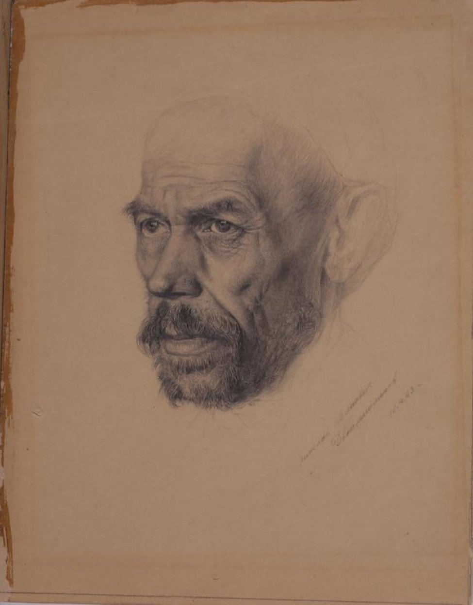 Изображена голова пожилого мужчины в 3/4 повороте влево с небольшими усами и бородой; на лице - глубокие морщины. Ухо и головной убор (берет) лишь намечены карандашом.