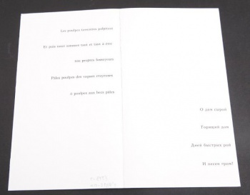В развернутом виде на листе справа - название  и автор на двух языках, слева - название издательства и год; с оборотной стороны слева - текст на французском языке, фамилия автора написана на двух языках (Дж. де Кирико); справа - в три строки текст на русском языке.