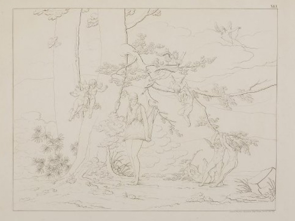 На фоне горного пейзажа изображена молодая полуобнаженная женщина у подножия двух больших деревьев, на ветвях которых восемь крылатых зефиров. В правой части композиции вверху изображен юноша с крыльями за спиной и с луком в руках, лежащий на облаках. Над изображением справа: ХL1. Под изображением справа: Сочинялъ, Рисовалъ и Гравировалъ Графъ Феодоръ Толстой 1840 года.