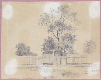 Изображен на переднем плане забор дощатый, в центре которого ворота. За забором вправо от ворот высокое дерево, рядом с ним дерево пониже. Направо и налево низкие деревья.
