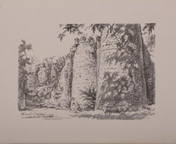 Изображена полуразрушенная каменная крепостная стена с круглой угловой башней справа, на которую падает тень от дерева.