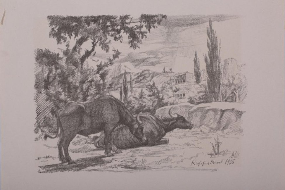Изображены два буйвола,- лежащий и рядом с ним стоящий - на фоне южного пейзажа.