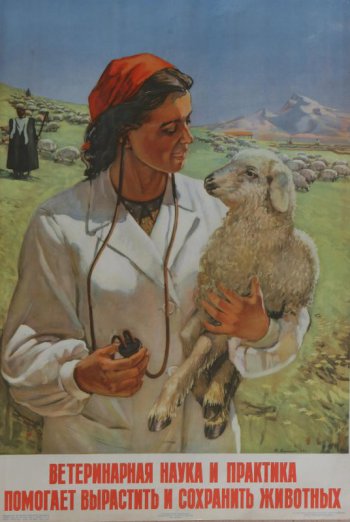 Изображена женщина - ветеринарный врач со стетоскопом, держащая на руках ягнёнка. Вдали - чабан в бурке и отара овец.