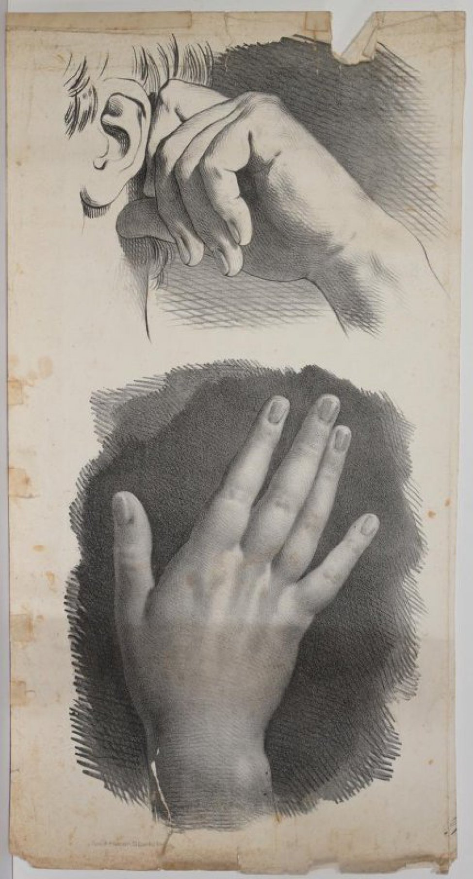 На листе два изображения. Вверху мужская кисть руки, поднятая к голове, за ухо. Внизу -  женская кисть руки с поднятыми вверх пальцами.