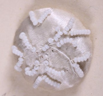 Пуговица круглой выпуклой формы, обтянутая белым атласом с вышитыми на ней белым мелким бисером уголками, отходящими от центра. Пуговица пришита к картонному листу.