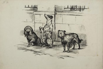 Изображены три собаки разных пород, сидящие на панели у каменного здания; слева - собака с длинными ушами и шерстью сидит, подняв одну лапу; другая собака с гладкой шерстью, сидит на задних лапах. Третья собака - с большой головой сидит справа.