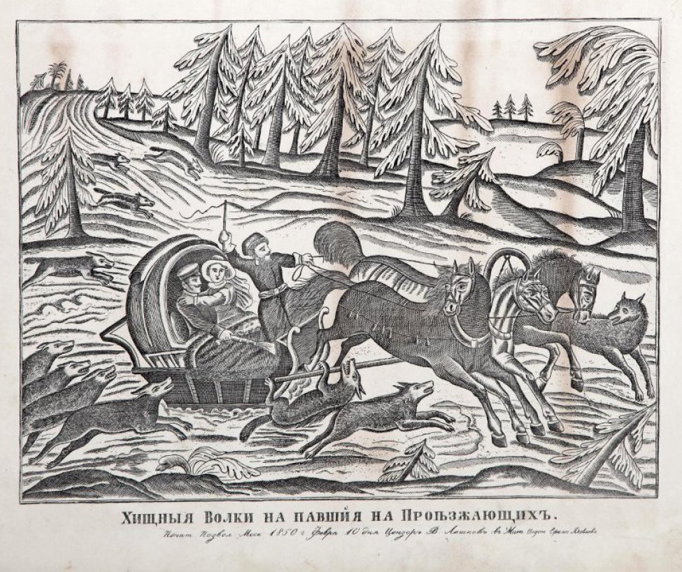 Изображен лес зимой. В центре кибитка запряженная тройкой лошадей, в кибитке сидят: мужчина, женщина и ямщик. Со всех сторон на них нападают волки. Один волк упал, подстреленный седокам из пистолета.