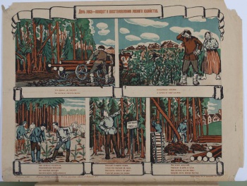 Изображено на пяти рисунках способы выращивания леса. Под каждым рисунком текст: 