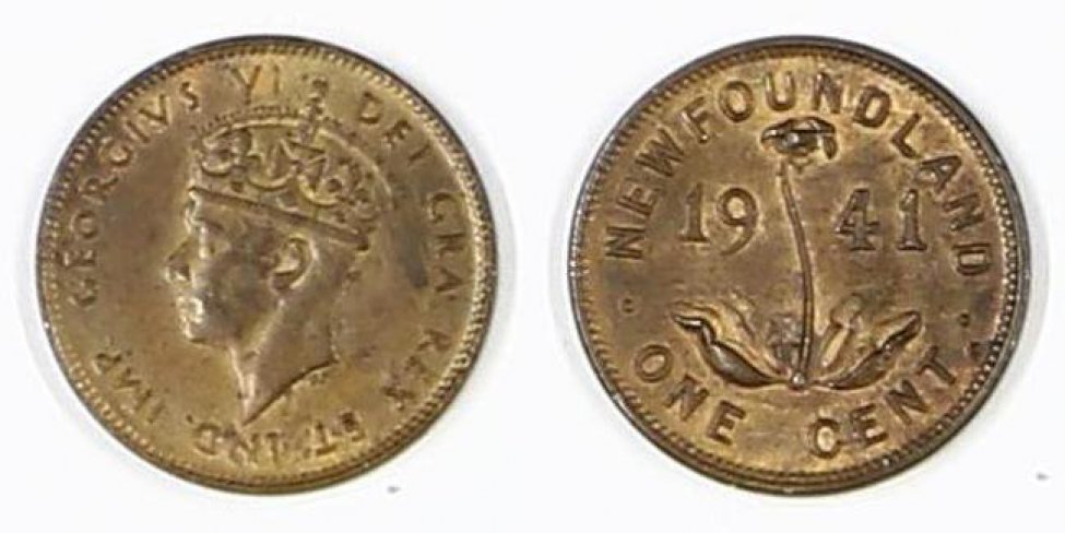 Аверс: В центре - портрет (голова) короля Георга VI влево: молодой мужчина в короне; корона состоит из украшенного чередующимися сдвоенными точками (двоеточиями), овалами и ромбом обруча с 3 видимыми зубцами (1 в виде т.н. уширенного креста, 2 - в виде геральдических лилий), из 3-х дужек, украшенных рядами мелких точек (жемчужин), вверху, в месте соединения дужек, держава с крестом. под обрезом портрета литеры мелким шрифтом: РМ. Вокруг портрета надпись: GEORGIVS VI DEI GRA. REX ET IND. IMP.. Вокруг композиции аверса рамка из мелких точек (примыкает к буртику). По краю монеты линейный буртик.
Реверс: В центре -- саррацения пурпурная: цветок с 4 лепестками на длинном прямом стебле, внизу у основания стебля 4 листка. Слева и справа от цветка цифры даты (по 2 с каждой стороны): 19 41. Вверху вдоль края монеты надпись полукругом: NEWFOUNDLAND.  Внизу обозначение номинала (распо- ложено полукругом вдоль края монеты): ONE CENT. Слева и справа верхняя надпись и обозначение номинала разделены точкой. Вокруг композиции аверса рамка из мелких точек (примыкает к буртику). По краю монеты линейный буртик.
Гурт: рубчатый
Аверс: портрет короля Георга VI влево: мужчина в короне. Под обрезом портрета - РМ. Вокруг портрета надпись. Вокруг композиции аверса рамка из мелких точек (примыкает к буртику). По краю монеты линейный ободок-буртик.
Реверс: цветок с 4 лепестками на длинном прямом стебле, внизу у основания стебля 4 листка. Слева и справа от цветка - цифры даты (по 2 с каждой стороны): 19 41. Вверху вдоль края монеты надпись полукругом: NEWFOUNDLAND.  Внизу - номинал: ONE CENT. Верхняя надпись и номинал разделены точкой. Вокруг композиции аверса рамка из мелких точек (примыкает к буртику). По краю монеты линейный ободок-буртик.