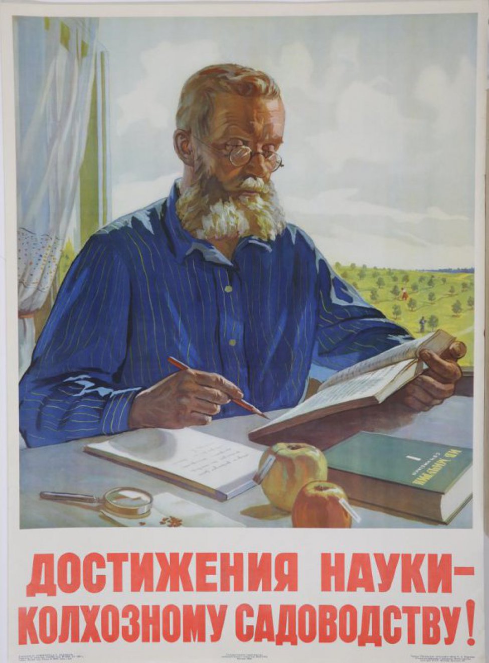 Изображен пожилой мужчина в очках, с бородой, в синей рубашке, сидит за столом. В одной руке раскрытая книга, в другой карандаш. На столе блок-кот, два яблока,книга " Мичурин", лупа и семечки от яблока. Справа на втором плане, фруктовый сад.