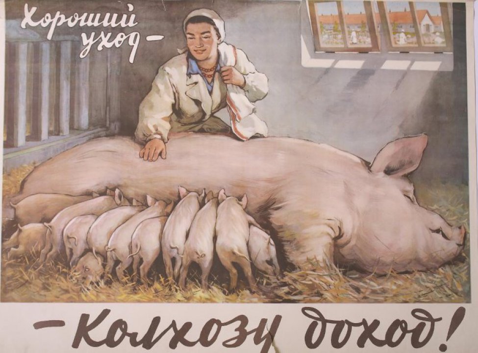 Изображена женщина-свинарка около свиноматки, лежащей на соломе в клетке свинарника,около нее двенадцать поросят.