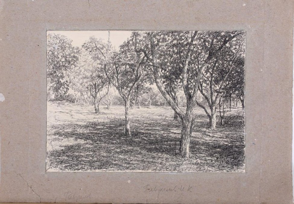 Изображены на некотором расстоянии друг от друга небольшие кудрявые яблоневые деревья; на землю с растущей невысокой травой,  от деревьев падают прозрачные тени.