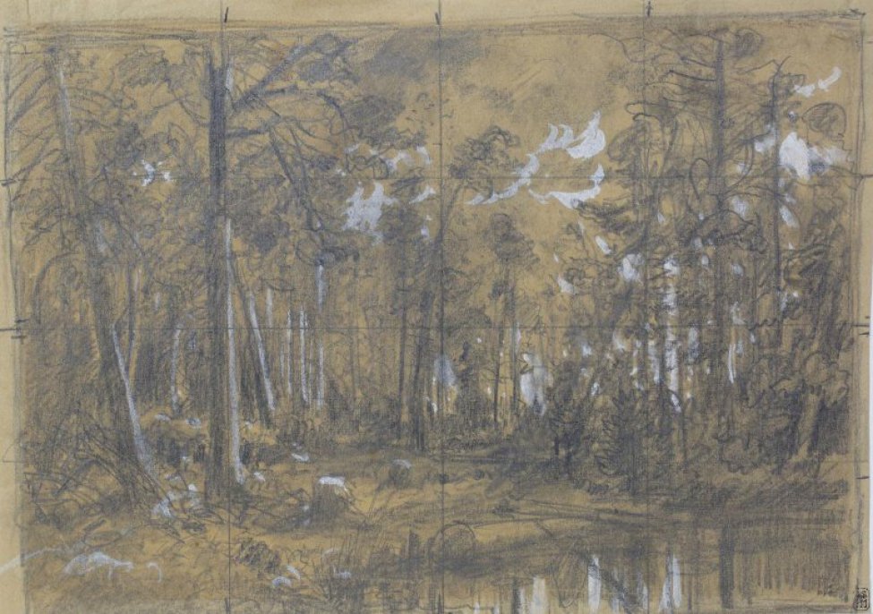Рисунок расчерчен на квадраты. Изображен заросший сосновый лес. На переднем плане справа - вода, в которой лежит бревно. В центре композиции - деревья, часть из них  повалилась. Вдали видны языки пламени, которые отражаются на стволах деревьев, на траве и в воде. К небу поднимается дым.