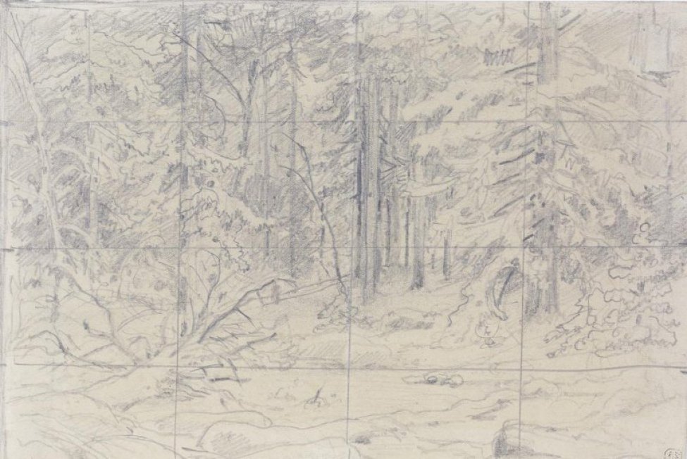 Рисунок расчерчен на квадраты. Изображен густой смешанный снег; на ветках деревьев лежит снег. Слева на переднем плане лежит ствол дерева с сучьями, покрытый снегом.