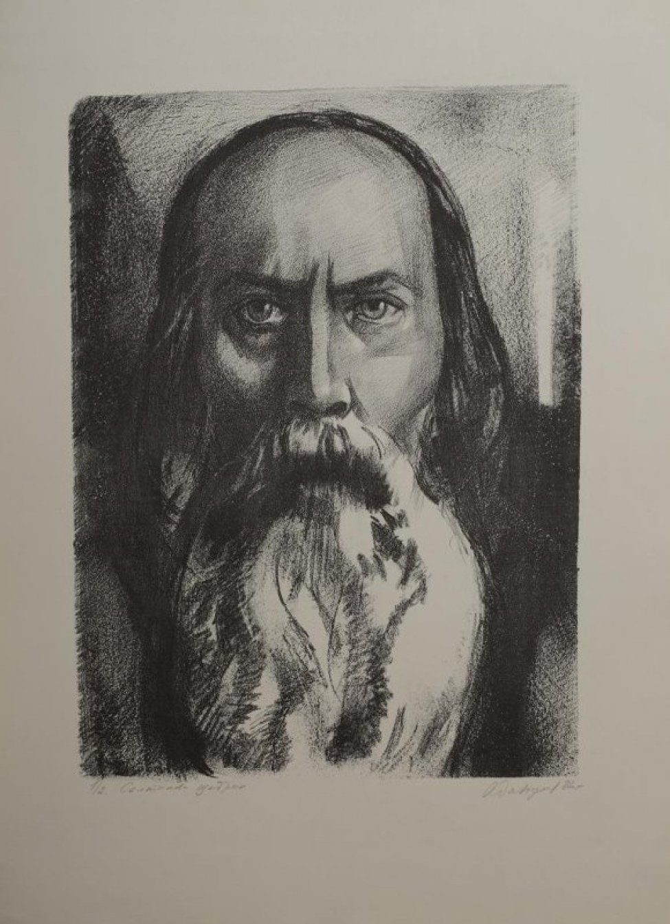 Погрудное изображение анфас писателя М.Е.Салтыкова-Щедрина с гладкими прямыми волосами до плеч и длинной густой бородой.